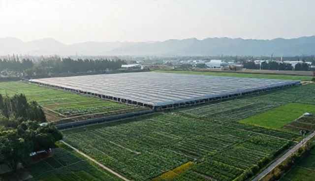 用户需求分析中常见的理解偏差与应对策略